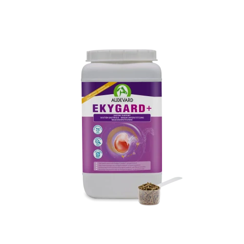 Audevard Ekygard