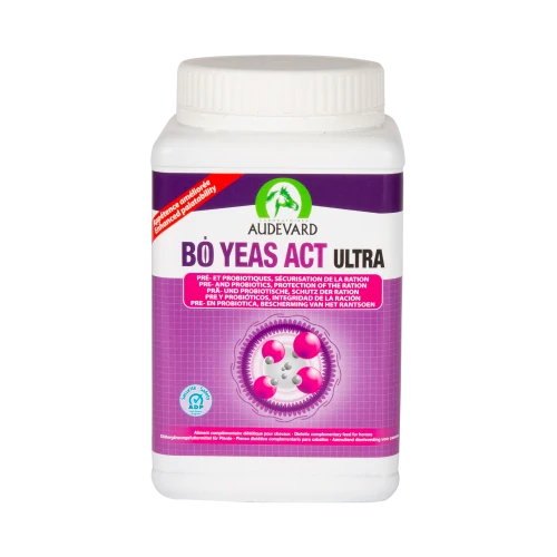 Audevard Bo Yeas Act Ultra