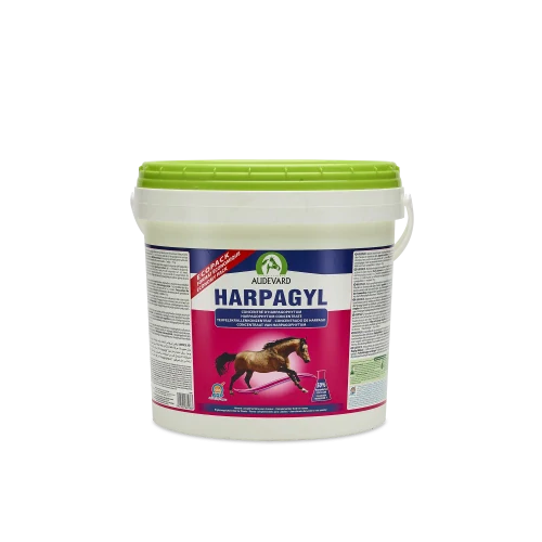 Audevard Harpagyl, 4,5 kg